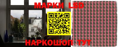 кокс Кингисепп
