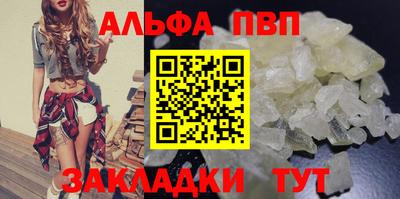 кокс Кингисепп