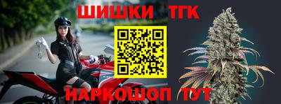 кокс Кингисепп