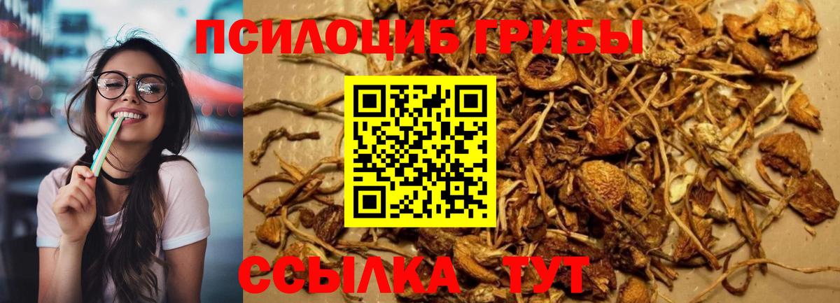 Псилоцибиновые грибы Psilocybine cubensis  Галлюциногенные грибы ЛСД  Вход с VPN  Красноуфимск 