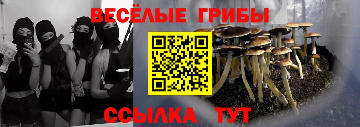 Псилоцибиновые грибы прущие грибы Красноуфимск